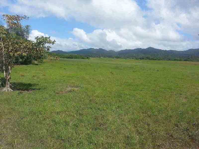 Vacant Lot for Sale in San Vicente, Palawan
